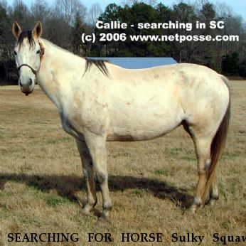 SEARCHING FOR HORSE Sulky Squaw, Near Greenville, SC, 00000
